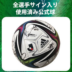 全選手サイン入り 使用済み公式球
